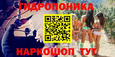 мдпв Тверь