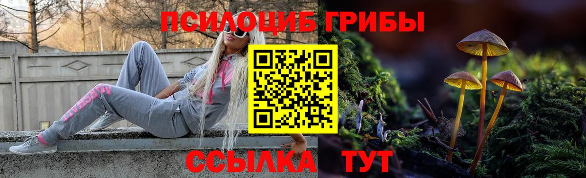 Псилоцибиновые грибы GOLDEN TEACHER  Вход с VPN  Галлюциногенные грибы мухоморы  Белгород 